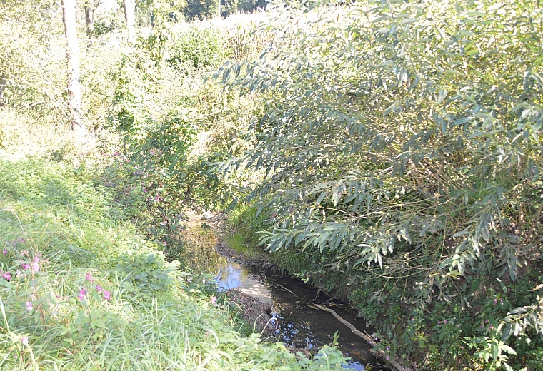 Vorschaubild für Regenwasserkanal Obergroßau