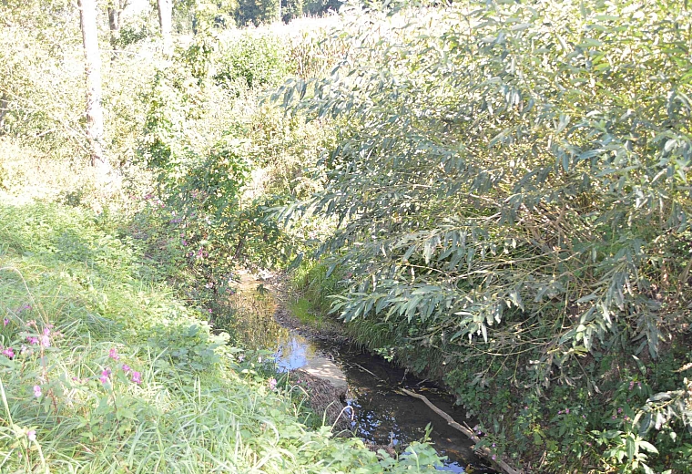 Vorschaubild für Regenwasserkanal Obergroßau