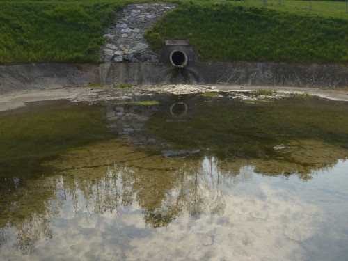 Fotogalerie Vorschaubild
